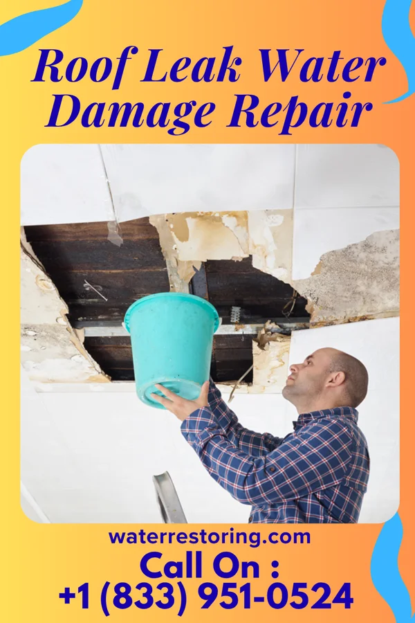 Roof Leak Water Damage Repair in Butterfield, TX